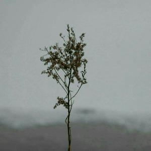 幸幸福生活妈妈儿子1级大片儿黄色的国产
