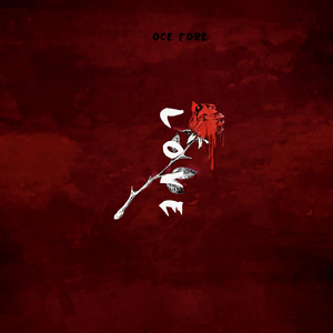 幸幸福生活妈妈儿子1级大片儿黄色的国产
